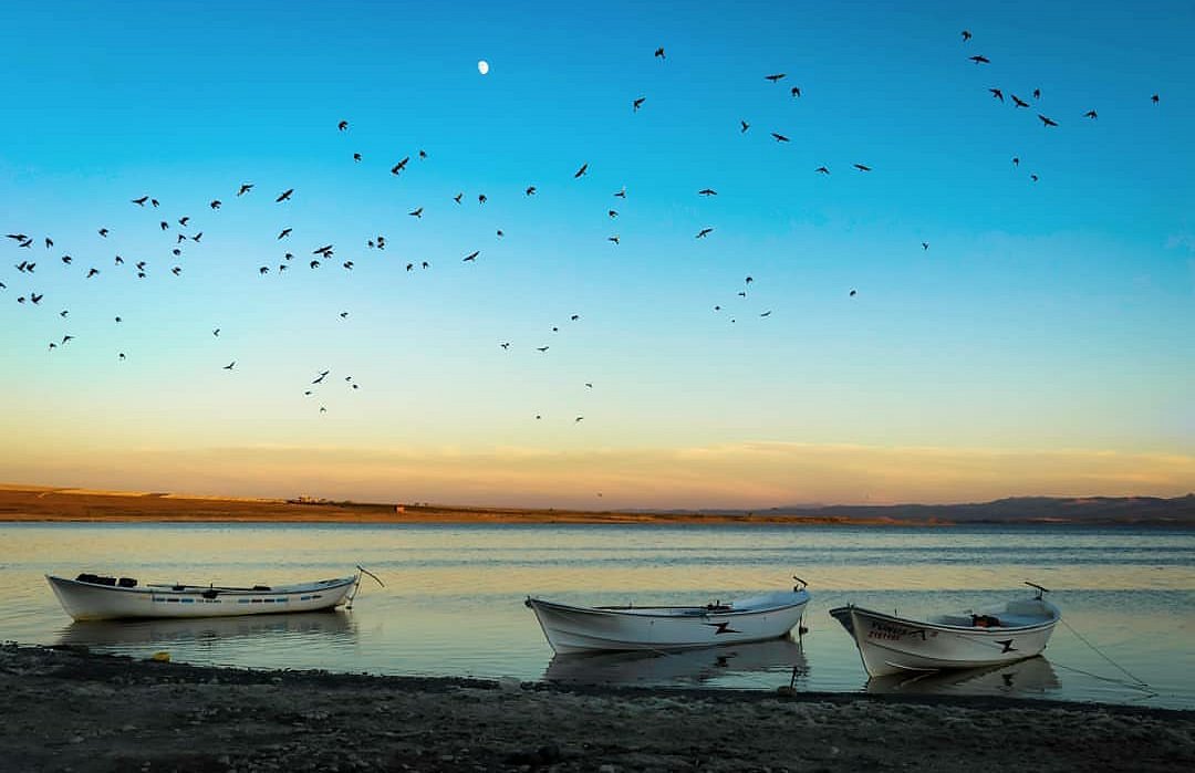 Kaman Savcılı Plajı